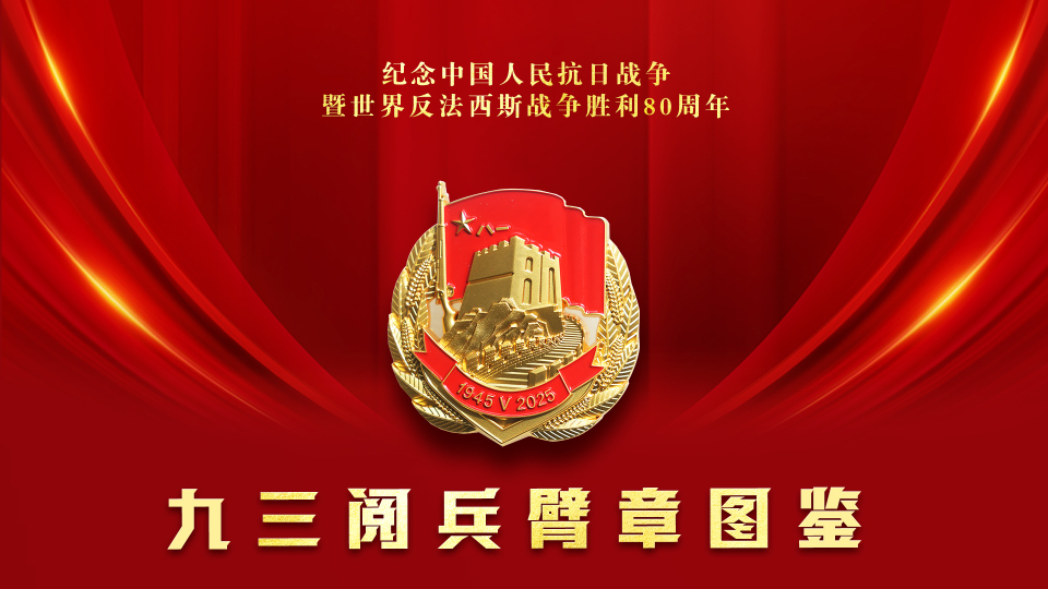 請收藏！九三閱兵臂章圖鑒