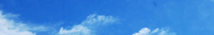 社會誠信誰來護(hù)？
