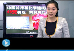 權威聲音：“快時代”究竟還有什么可以速成？