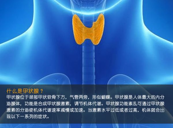 關注甲狀腺健康，你應該知道的那些事