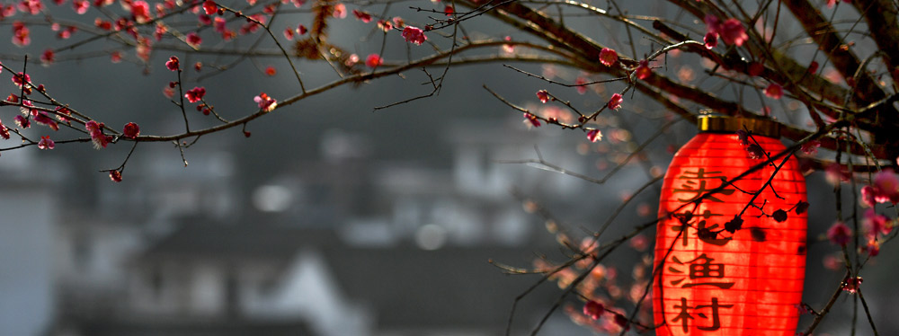 春來花開，綻放正當(dāng)時