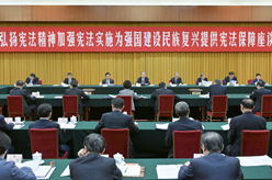 趙樂(lè)際出席“弘揚(yáng)憲法精神，加強(qiáng)憲法實(shí)施，為強(qiáng)國(guó)建設(shè)、民族復(fù)興提供憲法保障”座談會(huì)并講話