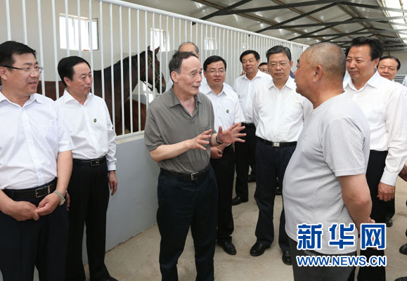 這是7月3日，王岐山在錫林浩特市義合良種馬繁育基地考察。新華社記者 龐興雷 攝