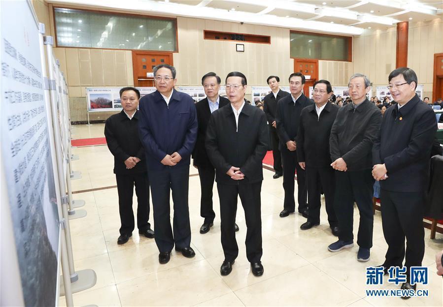 1月9日至10日，國(guó)務(wù)院副總理張高麗在安徽調(diào)研推動(dòng)長(zhǎng)江經(jīng)濟(jì)帶發(fā)展工作。這是1月10日，張高麗主持召開推動(dòng)長(zhǎng)江經(jīng)濟(jì)帶發(fā)展工作會(huì)議前聽取介紹。新華社記者 龐興雷 攝
