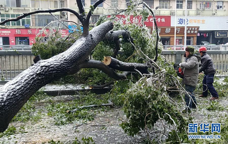 （新華全媒頭條）（7）雨雪冰凍中，他們奮力前行——基層黨員干群抗擊冰雪災(zāi)害紀(jì)實(shí)