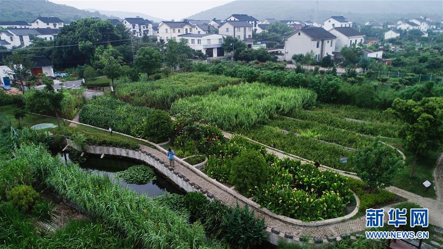 （在習(xí)近平新時代中國特色社會主義思想指引下——新時代新作為新篇章·圖文互動）（1）稀奇！治污濕地成了休閑公園——江蘇蘇州全域推進農(nóng)村生活污水治理