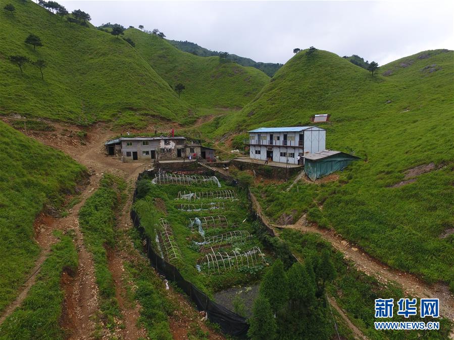 （新華全媒頭條·圖文互動(dòng)）（3）一個(gè)人，一座山——劉真茂的生命守望