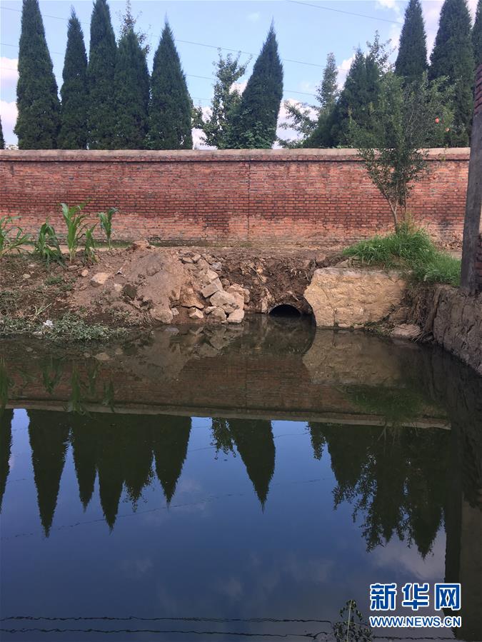 （新華視點(diǎn)·圖文互動(dòng)）（3）上游洪水來襲下游魚蟹死亡，泄洪為何變泄污？