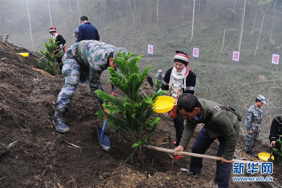 （圖文互動(dòng)）（6）和平年代，離死神最近的人——南部戰(zhàn)區(qū)陸軍云南掃雷大隊(duì)邊境掃雷排爆記事