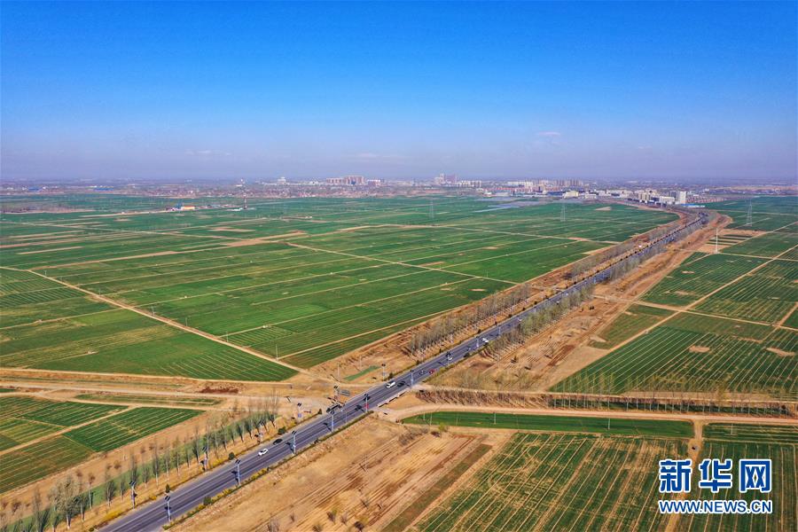 （新華全媒頭條·圖文互動）（2）奮進，向著未來之城！——河北雄安新區(qū)建設發(fā)展兩周年紀實