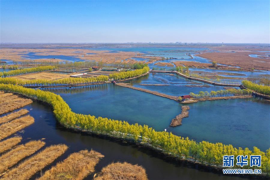 （新華全媒頭條·圖文互動）（5）奮進，向著未來之城！——河北雄安新區(qū)建設發(fā)展兩周年紀實