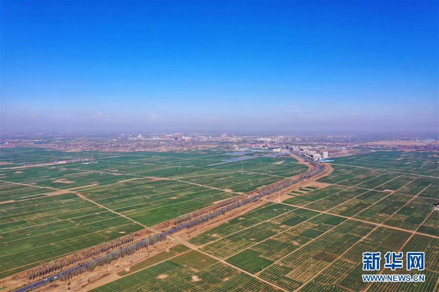 （新華全媒頭條·圖文互動）（6）奮進，向著未來之城！——河北雄安新區(qū)建設發(fā)展兩周年紀實