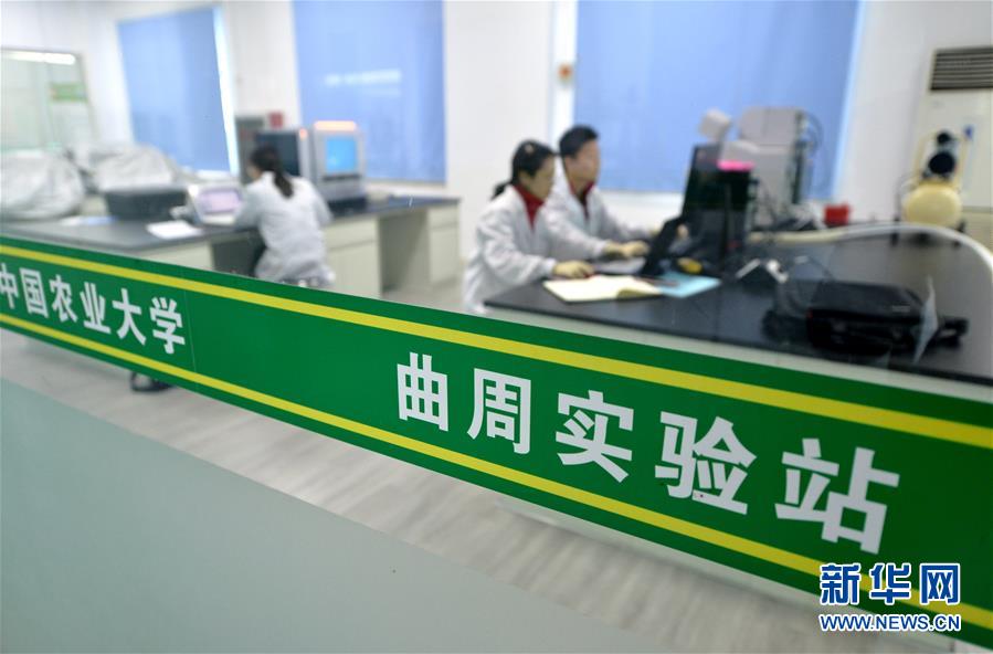 （愛國情 奮斗者·圖文互動(dòng)）（3） “解民生之多艱，育天下之英才”——中國農(nóng)大師生扎根田野書寫奉獻(xiàn)之歌