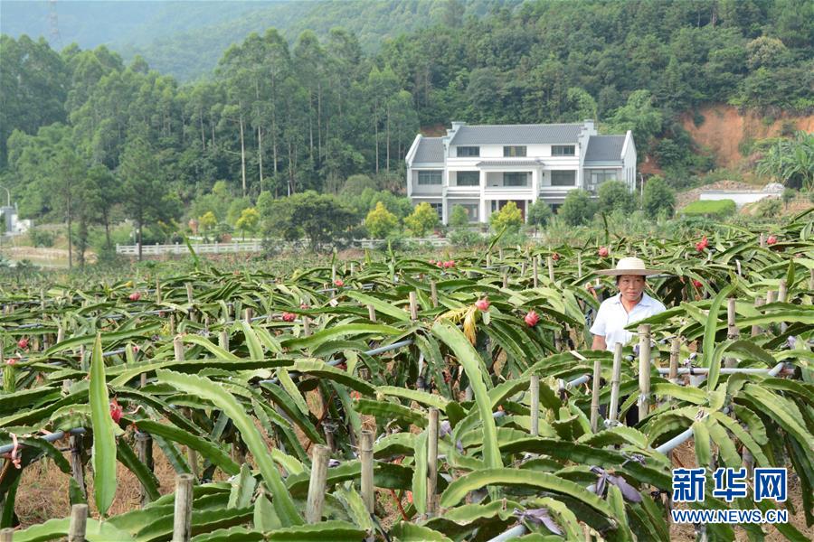 （在習近平新時代中國特色社會主義思想指引下——新時代新作為新篇章·總書記關心的百姓身邊事·圖文互動）（6）大污染變身“大寶藏”：治理畜禽糞污，他們這樣干！