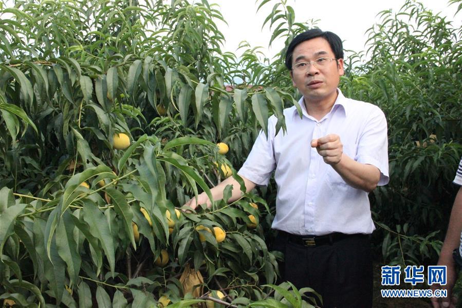 （圖文互動(dòng)）（2）“為脫貧而來(lái)，為脫貧而去”——追記湖南炎陵縣委原書記黃詩(shī)燕 