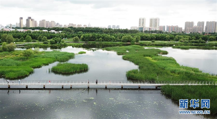（走向我們的小康生活·圖文互動(dòng)）（1）水清、地綠、空氣新——最北省份黑龍江繪就生態(tài)治理新畫卷