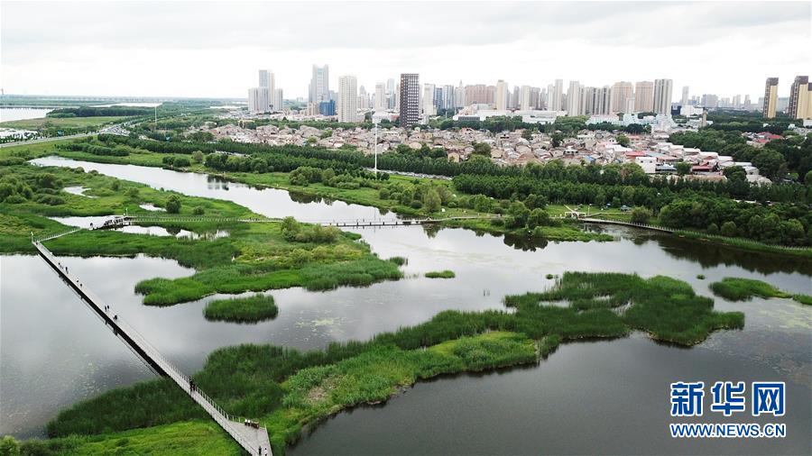（走向我們的小康生活·圖文互動(dòng)）（2）水清、地綠、空氣新——最北省份黑龍江繪就生態(tài)治理新畫卷