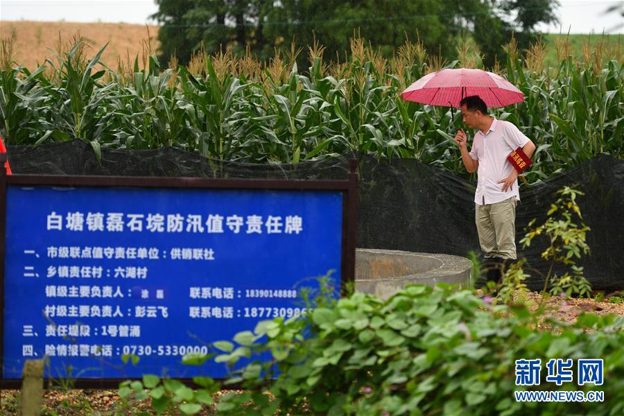 （防汛抗洪·圖文互動）（1）“險情不可怕，可怕的是不能及時發(fā)現(xiàn)險情”——洞庭湖巡堤查險現(xiàn)場直擊