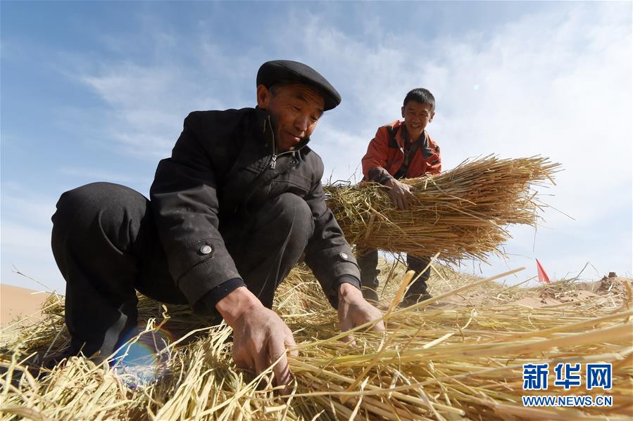 （在習(xí)近平新時代中國特色社會主義思想指引下——新時代新作為新篇章·習(xí)近平總書記關(guān)切事·圖文互動）（5）綠色映底蘊(yùn)，山水見初心——生態(tài)優(yōu)先、綠色發(fā)展持續(xù)造福群眾美好生活