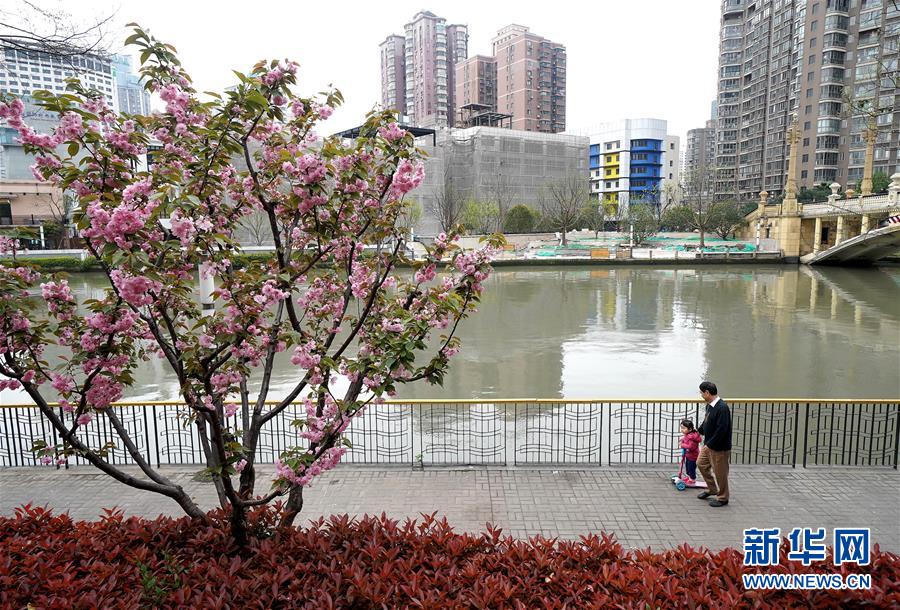 （新華全媒頭條·走向我們的小康生活·圖文互動(dòng)）（12）城市，讓人民生活更美好