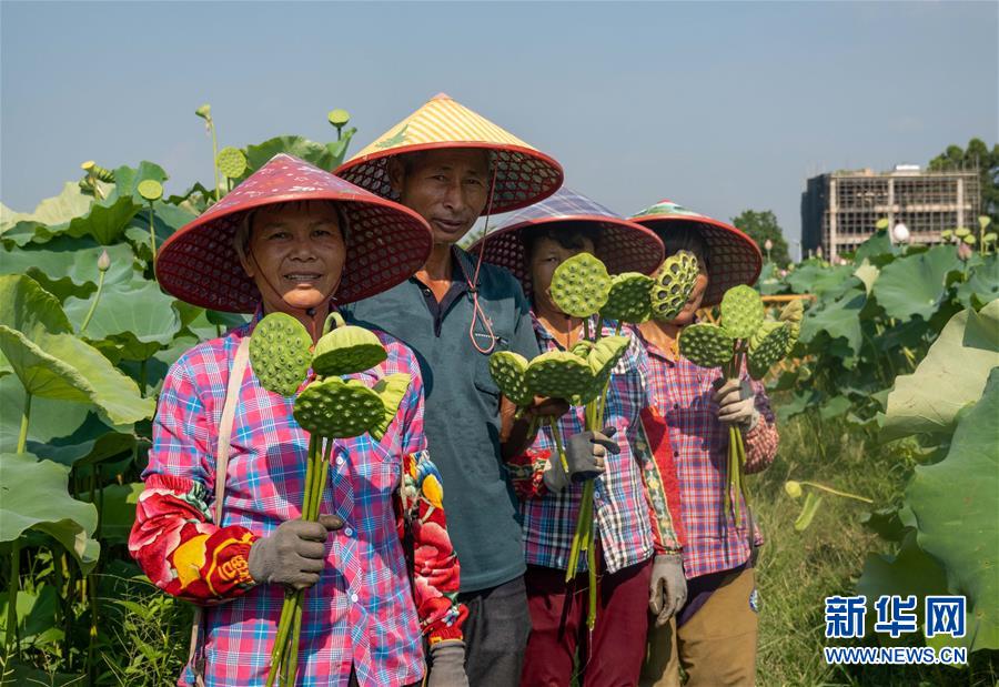 （新時代文明實(shí)踐·圖文互動）（3）文明之花別樣紅——來自廣東博羅的新時代文明實(shí)踐報告