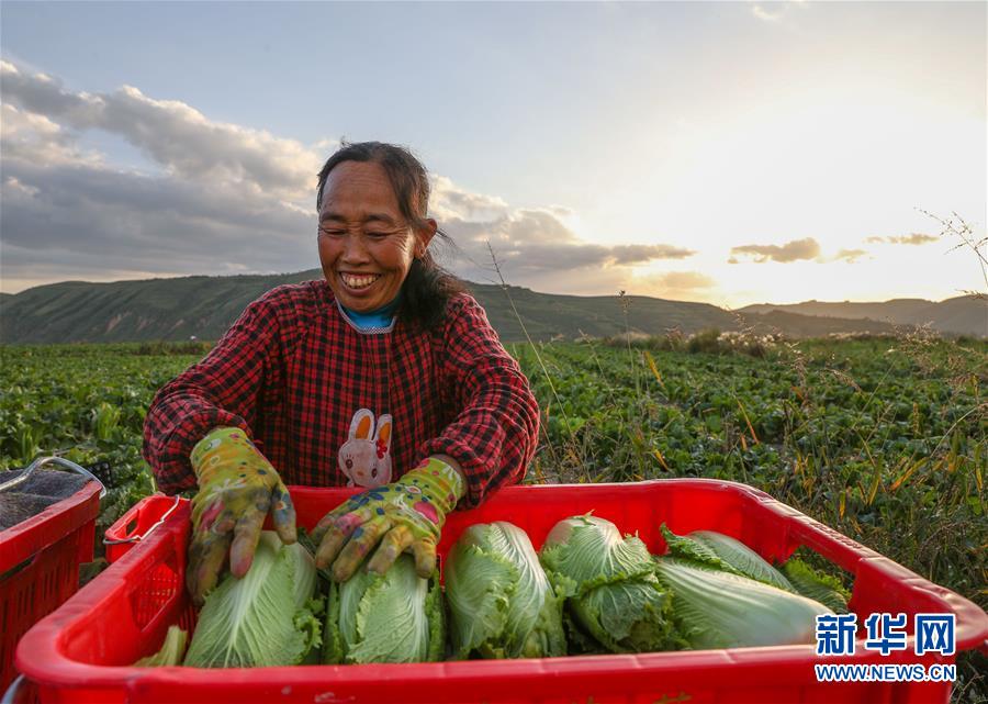 （新華全媒頭條·決戰(zhàn)決勝脫貧攻堅·督戰(zhàn)未摘帽貧困縣·圖文互動）（1）不獲全勝，決不收兵——全國52個掛牌督戰(zhàn)貧困縣脫貧攻堅紀實