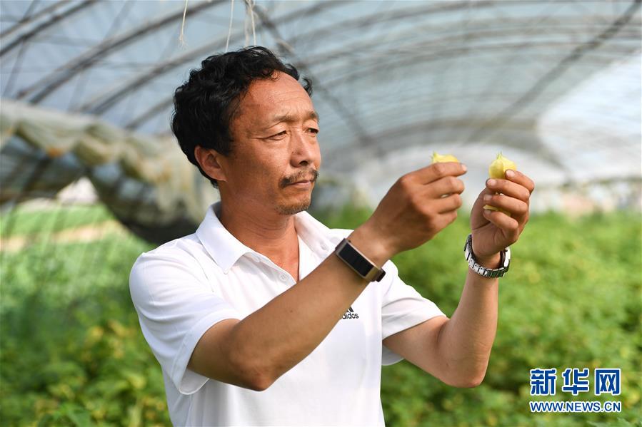 （新華全媒頭條·走向我們的小康生活·圖文互動(dòng)）（7）黑土地上是我家——在吉林，一瞥中國(guó)東北鄉(xiāng)村美麗未來(lái)