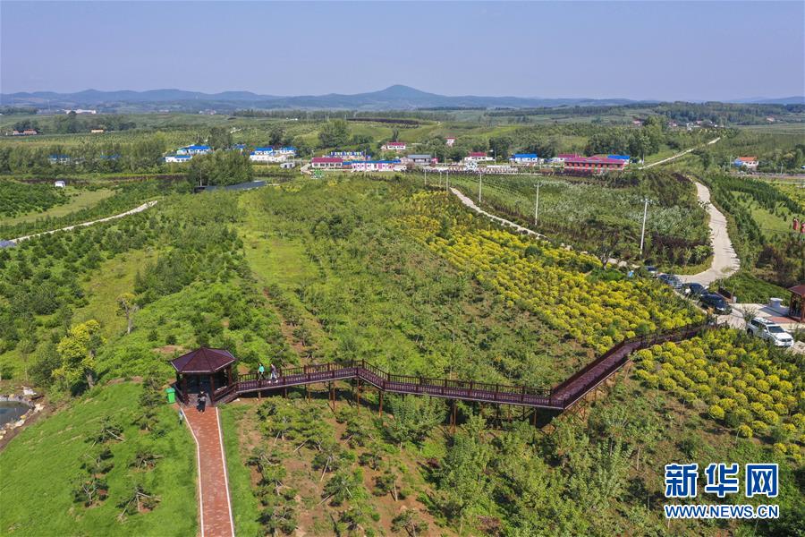 （新華全媒頭條·走向我們的小康生活·圖文互動(dòng)）（16）黑土地上是我家——在吉林，一瞥中國(guó)東北鄉(xiāng)村美麗未來(lái)