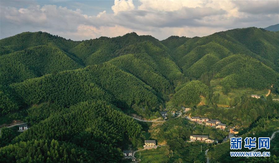 （新華全媒頭條·走向我們的小康生活·圖文互動）（2）神山村“神奇”何在？——井岡山深處覓答案