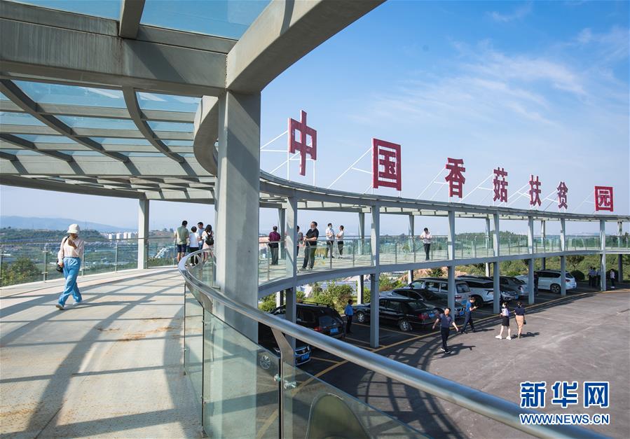 （新華全媒頭條·走向我們的小康生活·圖文互動(dòng)）（2）特殊之年，荊楚大地書寫不平凡的答卷