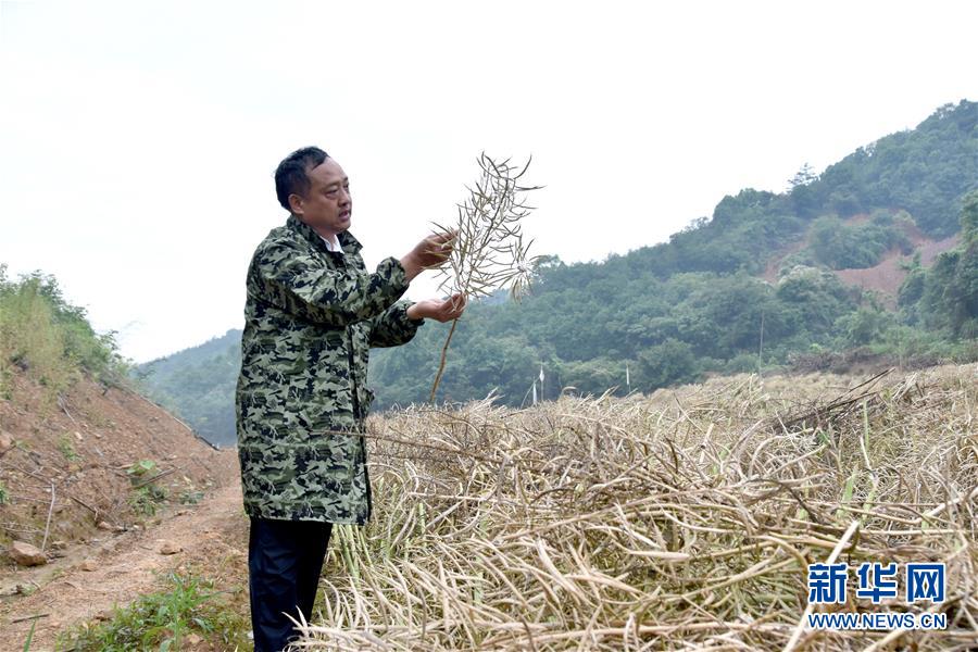 （代表委員履職·圖文互動(dòng)）（1）“我是農(nóng)民代表，始終關(guān)注農(nóng)村”——全國(guó)人大代表沈昌健的履職故事