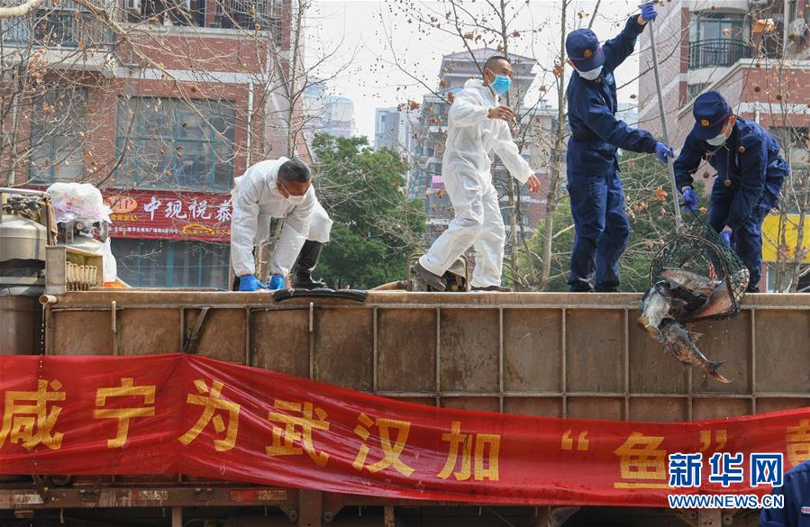 （新華全媒頭條·圖文互動(dòng)）（12）從人民中汲取磅礴力量——習(xí)近平總書(shū)記同出席2020年全國(guó)兩會(huì)人大代表、政協(xié)委員共商國(guó)是紀(jì)實(shí)