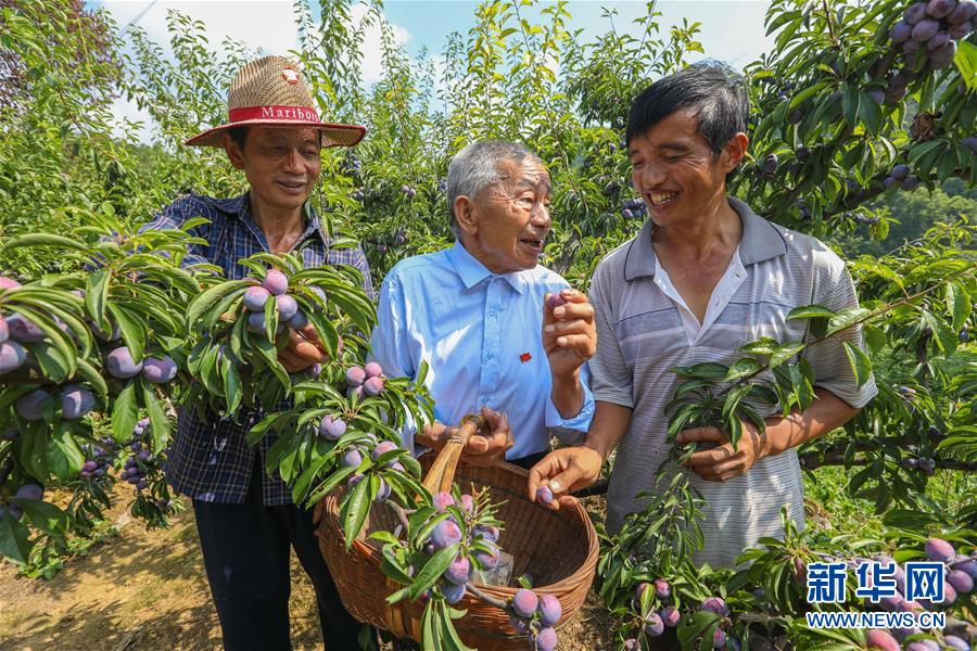 (新華全媒頭條·圖文互動)(1)凝聚民族復興的精神偉力——以習近平同志為核心的黨中央重視思想道德建設關心關愛道德模范紀實