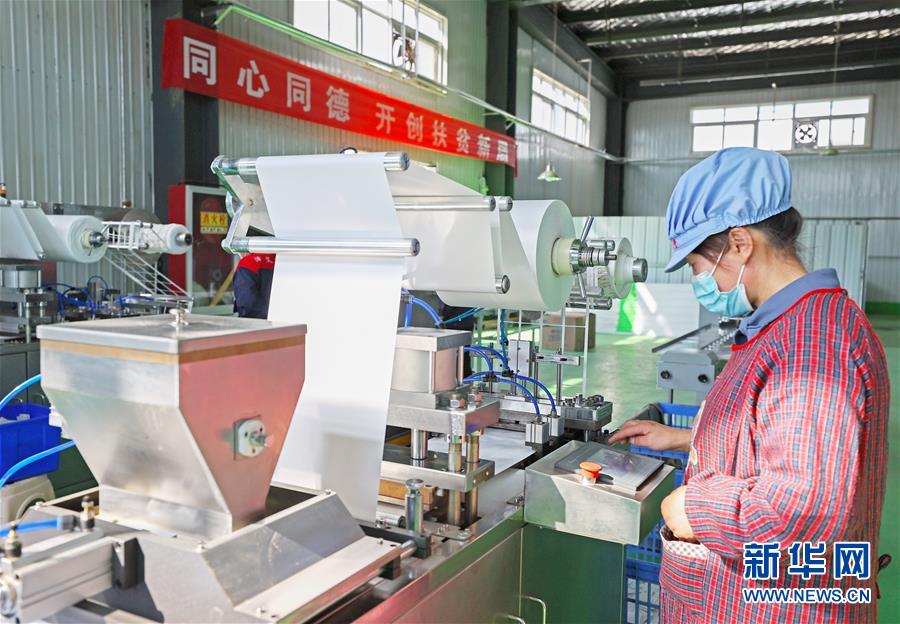 （在習(xí)近平新時代中國特色社會主義思想指引下——新時代新作為新篇章·習(xí)近平總書記關(guān)切事·圖文互動）（2）“綠色銀行”發(fā)工資、“股東”分紅來敲門……——探索長效脫貧致富新機制見聞