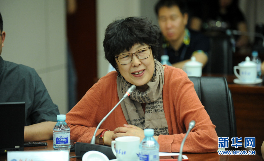 陳小波：新華人對歷史的擔(dān)當(dāng)、情感與良知