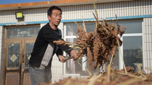 內蒙古奈曼旗互利村闖出產(chǎn)業(yè)致富之路