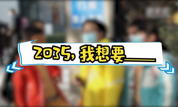 2035，我想要____