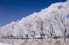 全國初雪時間表出爐 看看你離初雪還有多遠？