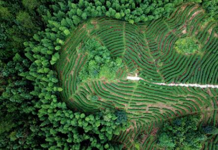 福建龍巖：高效用地，提升生態(tài)環(huán)境水平