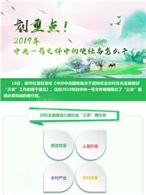 劃重點(diǎn)！2019年中央一號文件中的硬任務(wù)怎么干