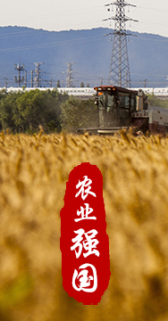 農(nóng)業(yè)強(qiáng)國是社會主義現(xiàn)代化強(qiáng)國的根基。