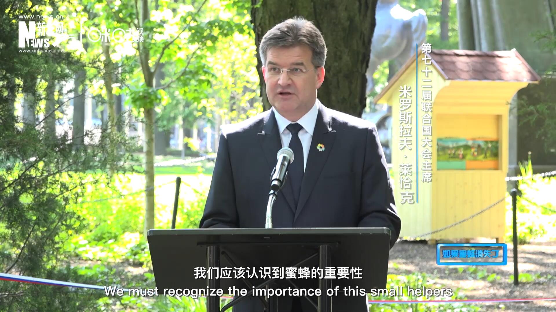 我們應(yīng)該認(rèn)識(shí)到蜜蜂的重要性，所以我們用“世界蜜蜂日”提高大家保護(hù)蜜蜂的意識(shí)，并且用實(shí)際行動(dòng)去保護(hù)蜜蜂