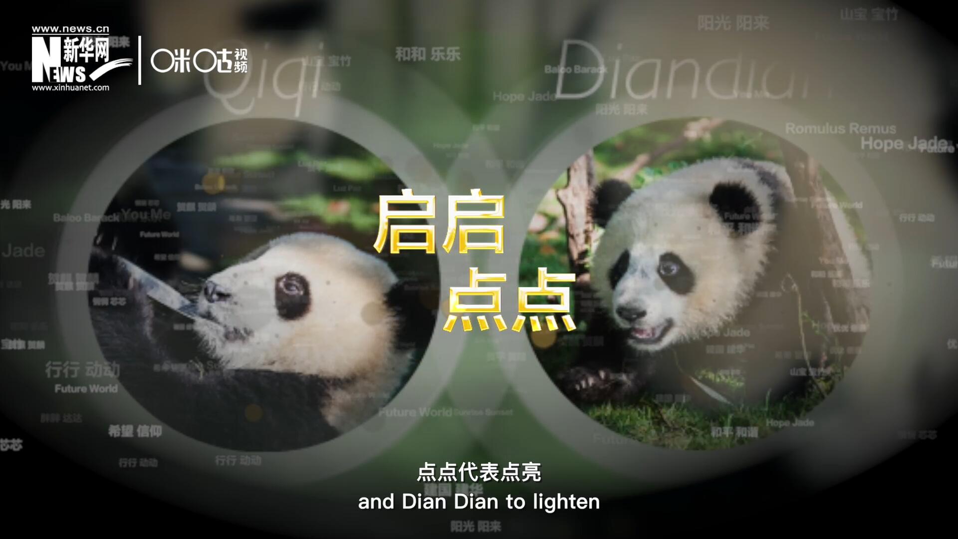 啟啟代表“啟發(fā)”，點(diǎn)點(diǎn)代表“點(diǎn)亮”，象征著2030年可持續(xù)發(fā)展議程 的“起點(diǎn)”，也象征著全球可持續(xù)發(fā)展路徑的新起點(diǎn)。