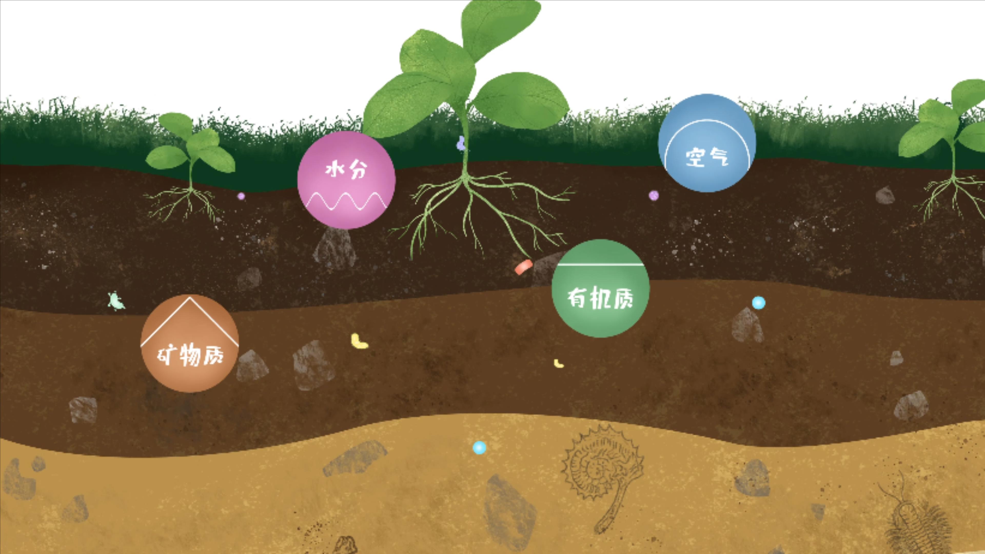 土壤由礦物質(zhì)、有機(jī)質(zhì)、水分、空氣及包括微生物在內(nèi)的生物體等組成