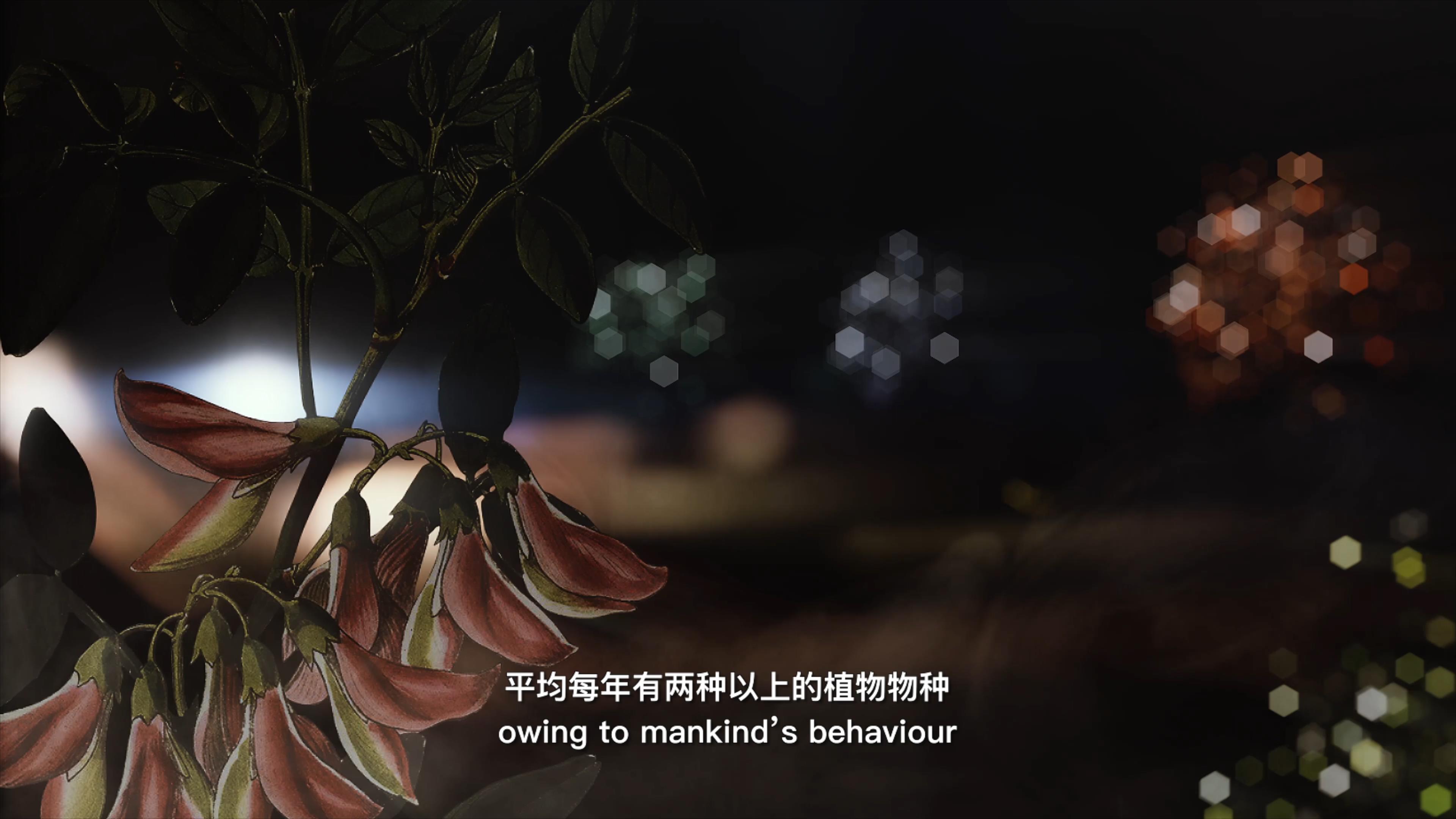 自18世紀(jì)中葉以來，許多植物物種因為人類的原因而從地球上消失