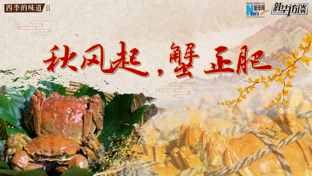 秋風(fēng)起，蟹正肥
