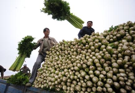 劉永富：發(fā)展產業(yè)脫貧仍是精準扶貧、精準脫貧主攻方向