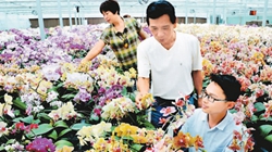 臺(tái)商眼中的改革開放：風(fēng)景這邊獨(dú)好 要去，要去，要去！