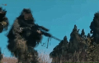 突入，擊斃！直擊武警特戰(zhàn)反劫持演練！