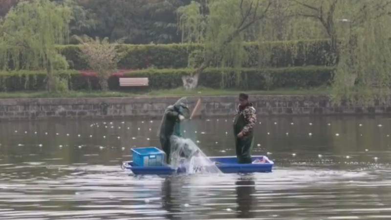 別人家的學校！安師大請師生吃一萬斤魚